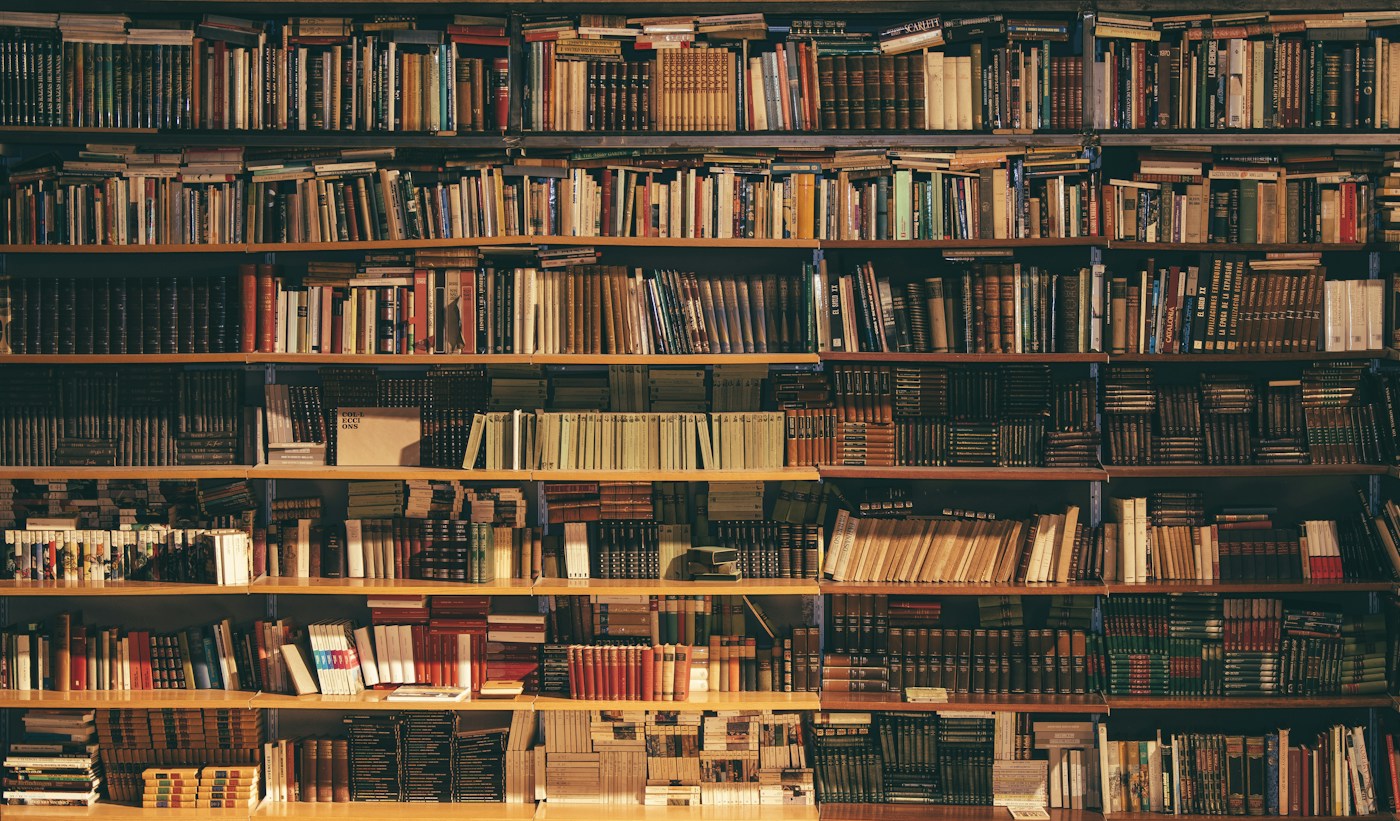 Illustrative library shelves