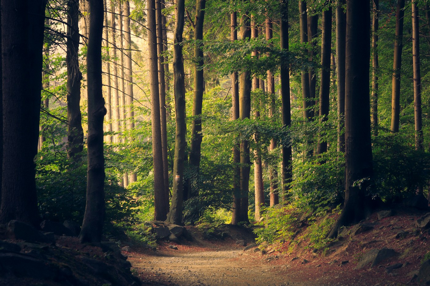 Green futures — illustrative club photography